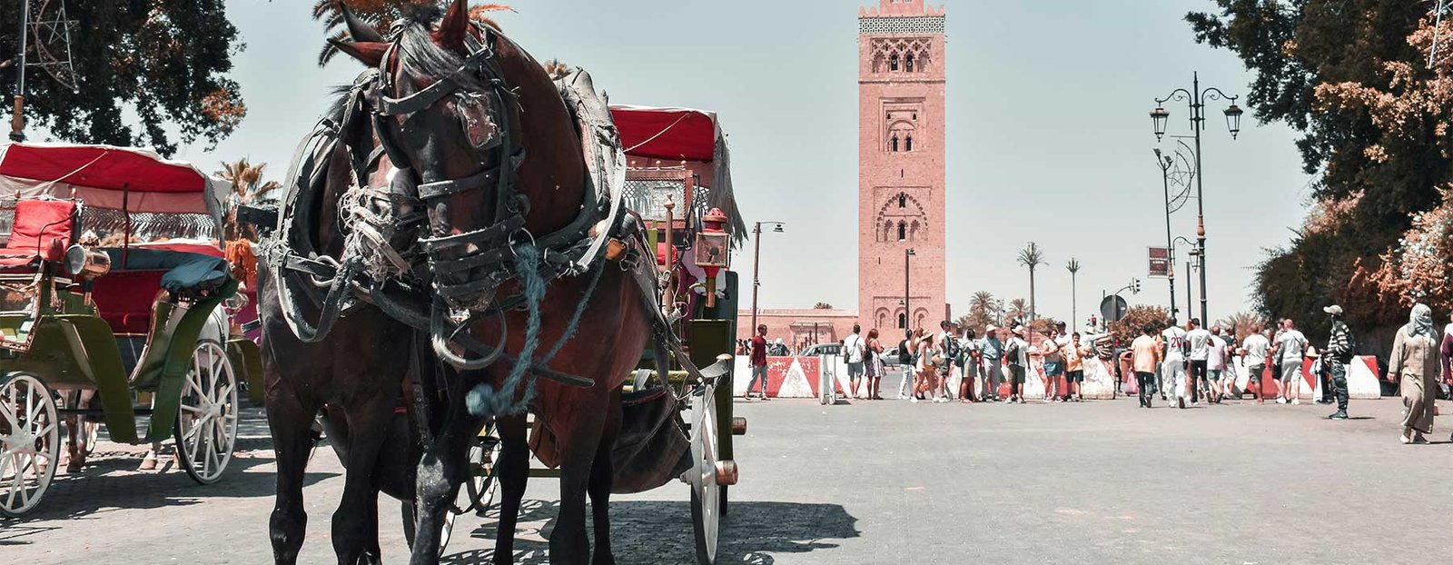 Best Things to Do in Marrakech & Top Activities 2025 Best Things to Do in Marrakech & Top Activities 2025