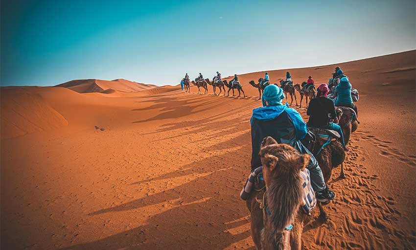 Sahara Sunrise camel ride
