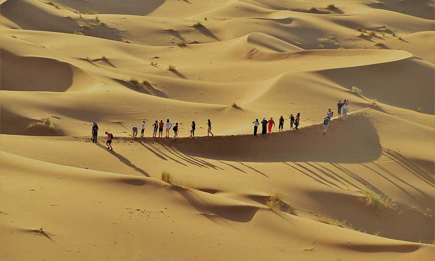 Sahara Sunrise camel trek into the Erg Chebbi dunes