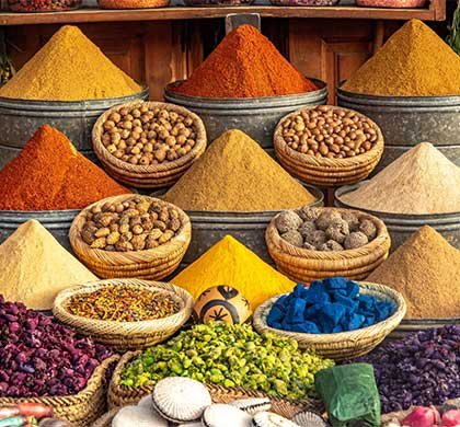 Morocco in Colors: A 11-Day Imperial to Sahara Morocco in Colors: A 11-Day Imperial to Sahara